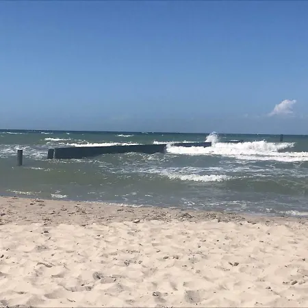 Lachmoewe * 보르게렌데레트비슈