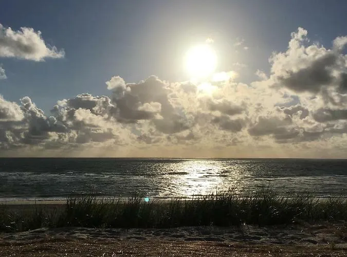 Lachmoewe 보르게렌데레트비슈